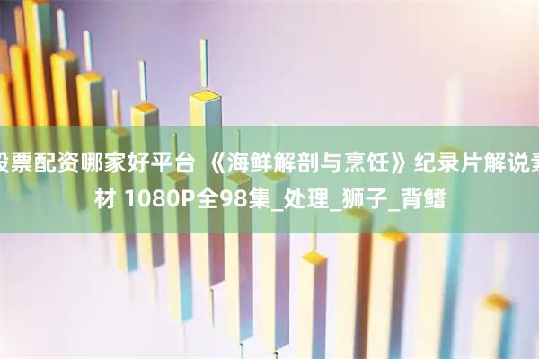 股票配资哪家好平台 《海鲜解剖与烹饪》纪录片解说素材 1080P全98集_处理_狮子_背鳍