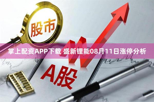 掌上配资APP下载 盛新锂能08月11日涨停分析